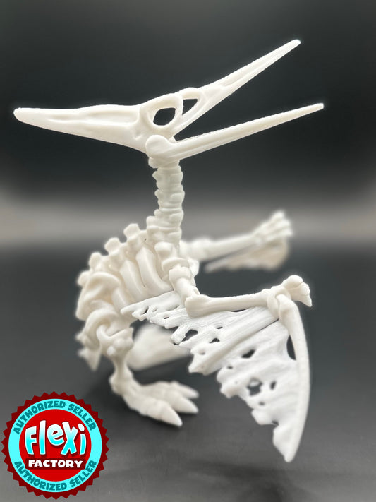 Articulated Skeleton Pteranodon